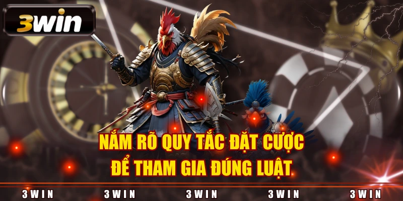 Nắm rõ quy tắc đặt cược để tham gia đúng luật