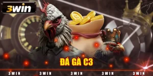 đá gà c3